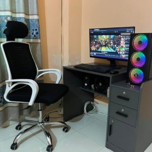 V Mesh Excutive Chair (Black & White)
